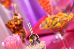Temple Emanuel Beverly Hills Bar Bat Mitzvah 40