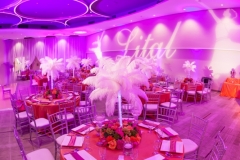 Temple Emanuel Beverly Hills Bar Bat Mitzvah 46