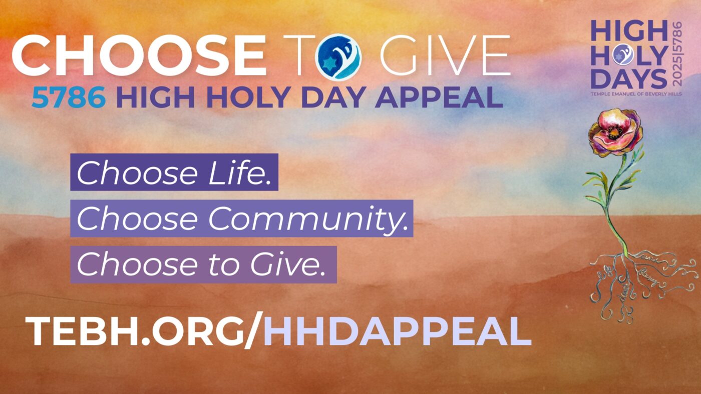 Services HHD 2025 16:9 - HHD APPEAL